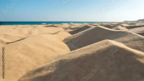 the sandy beach, with the ocean stretching to the horizon under a clear sky
