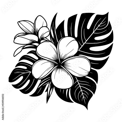 Black and white plumeria flowers with monstera leaves