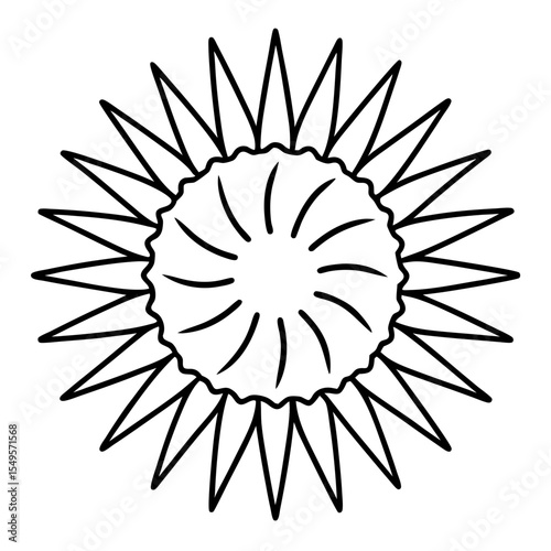 Minimal Sea Slug Line Art