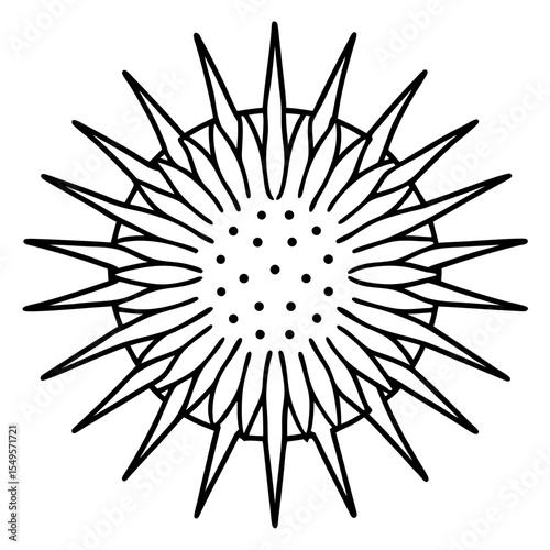 Minimal Sea Slug Line Art