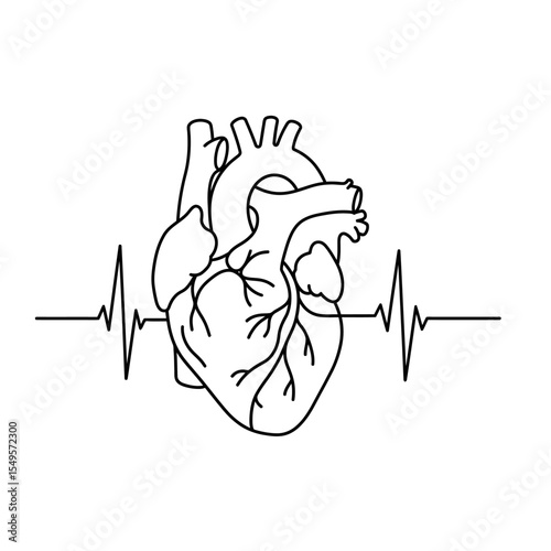 A detailed line drawing of a human heart, anatomically accurate, with a heartbeat EKG trace below.