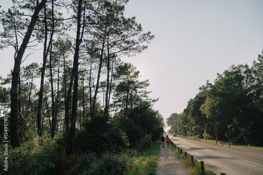 Obraz premium road through the woods