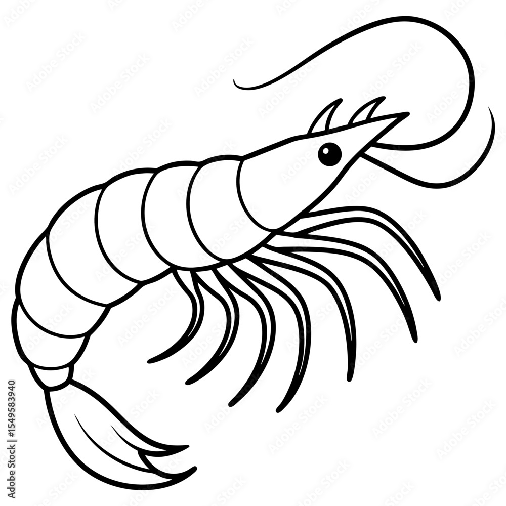 Obraz premium Minimal Shrimp Sketch