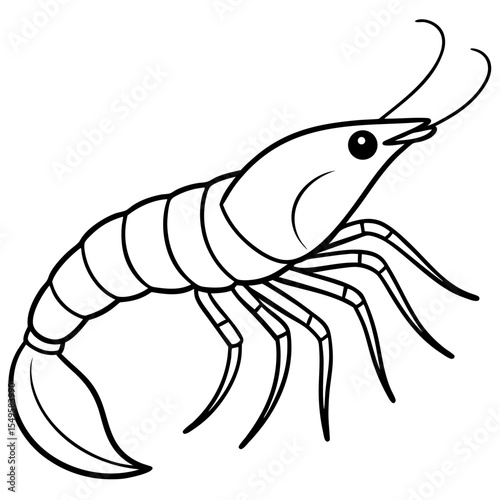 Minimal Shrimp Sketch