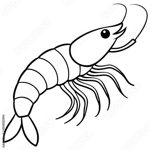 Minimal Shrimp Sketch
