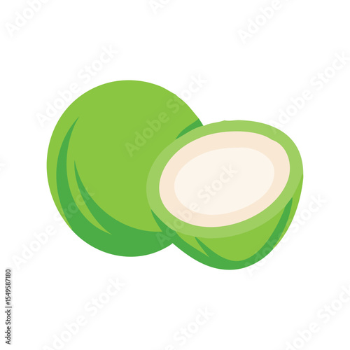 Whole and Halved Green Young Coconut Tropical Fruit Vector

