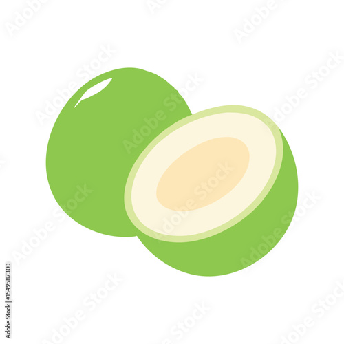 Whole and Halved Green Young Coconut Tropical Fruit Vector

