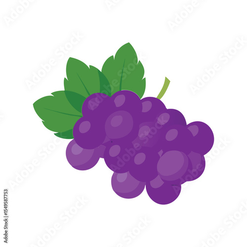 Fresh Purple Grape Bunch with Green Leaves Vector Illustration
