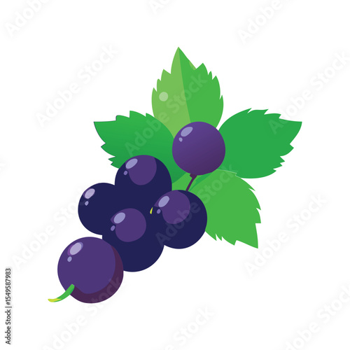 Fresh Blackcurrant Bunch with Green Leaves Vector Illustration