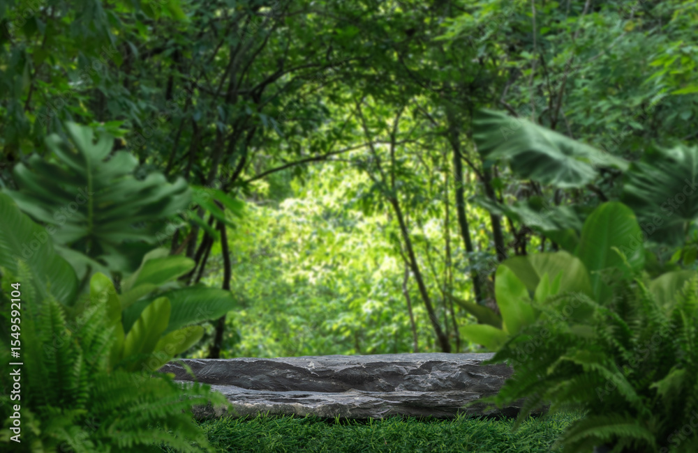 Fototapeta premium Stone podium stand with green tropical forest nature background.natural product pedestal rock table top display.jungle paradise concept.