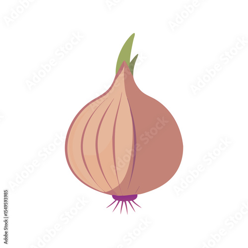 Onion flat minimal vector illustration, simple bulb vegetable icon, healthy food, modern design element

