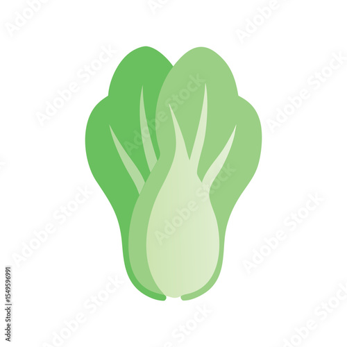 Bok choy flat minimal vector illustration, simple green leafy vegetable icon, healthy Asian food design

