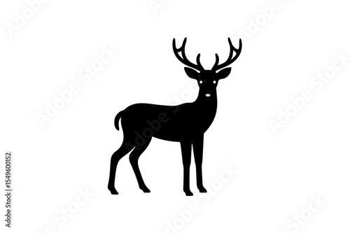deer vector illustration