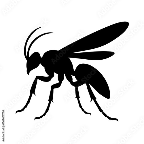 Silhouette of a Majestic Tarantula Hawk with Intricate Wing and Leg Details