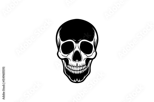 human skull isolated on white