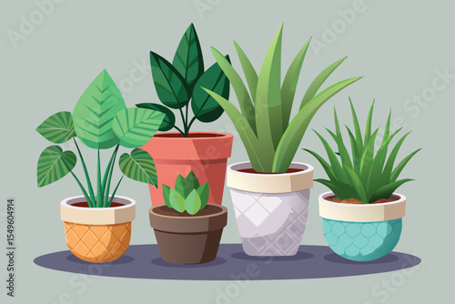 Potted green houseplant with lush leaves, perfect for home gardening or botanical themes