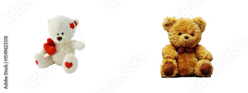 two teddy bears isolated on white
