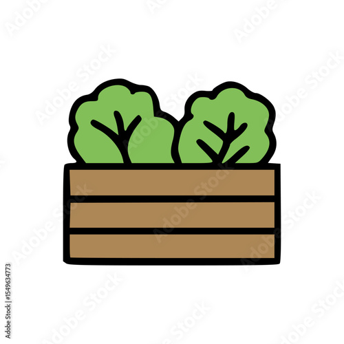 Fresh Green Vegetable Plants in Rectangular Wooden Planter Box Representing Urban Farming Concept