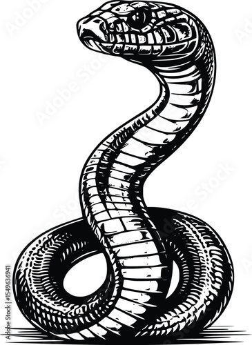 Majestic Cobra Silhouette: Editable Vector Illustration, Intricate Line Art, Powerful and Elegant Design, Perfect for Print or Digital Use, High-Resolution Graphic.