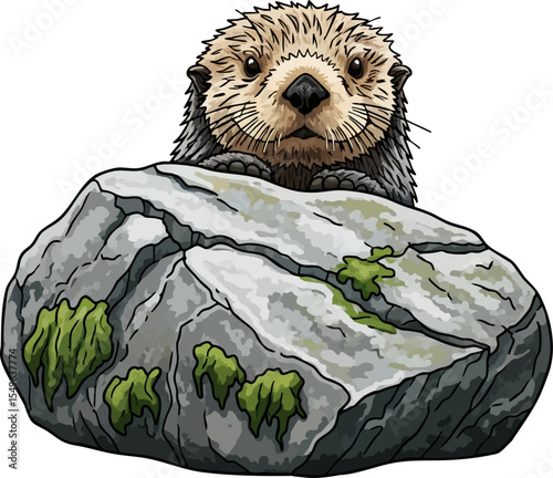 Peeking from Behind a Rock