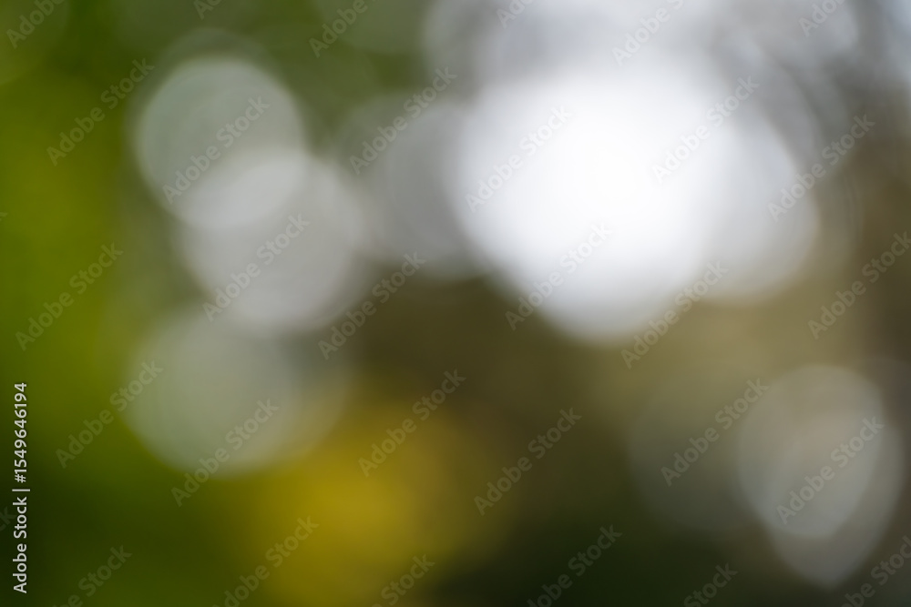 Obraz premium 緑と光が織りなす抽象的なボケの背景