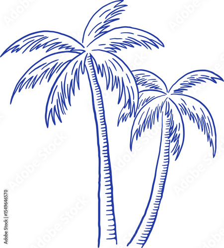 Hand draw palm tree vector illustration. Summer beach vacation clipart in sketch style
