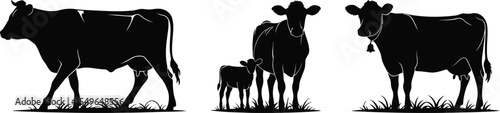 Vector art of silhouettes of cows and a calf isolated on white background
