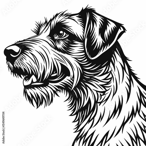 black and white dog