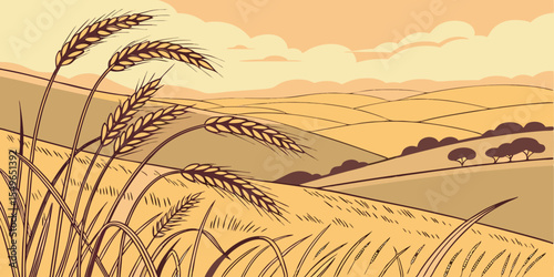 Golden Wheat Field on Rolling Hills at Sunset