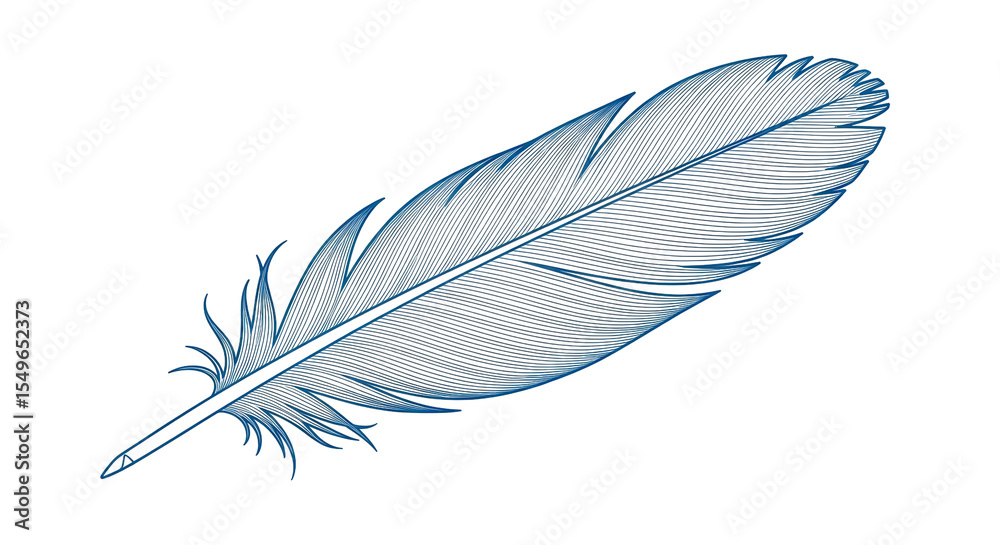 Obraz premium Isolated Feather Illustration