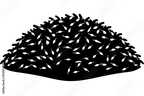 hedgehog on a white background