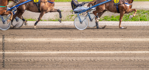 Equestrian sport. Horizontal photo banner. Copy space for your text. Horses compete in harness racing