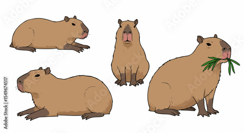 Capybara illustration set. Image shows four different poses of capybara Hydrochoerus hydrochaeris. Capybara illustration is perfect for children's books,