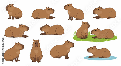 Capybara Hydrochoerus hydrochaeris illustration set. Capybara poses collection shows rodent in various positions.  Capybara image set ideal for children's book, nature encyclopedia,