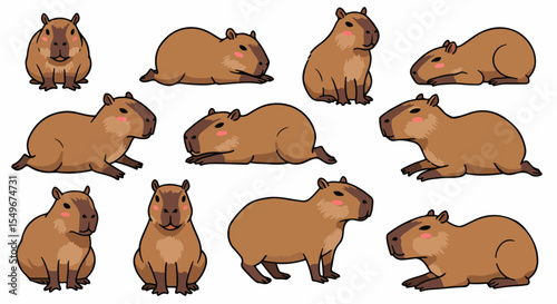 Capybara Hydrochoerus hydrochaeris illustration set. Capybara images show various poses of this large semi-aquatic rodent. This capybara collection is perfect for children's books,