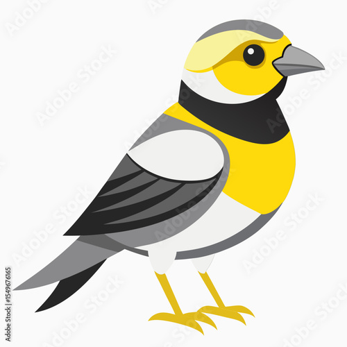 Lawrence’s Goldfinch Vector Illustration – Wild Finch with Bright Yellow Chest