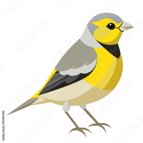 Vector Illustration of Lawrence’s Goldfinch – Perched Small Bird with Vibrant Colors