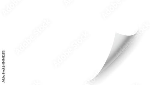 Crisp Bottom Right Corner Flip: A Pristine White Page Gently Peeling with a Defined Shadow, Perfect for Design Accents or User Interface Cues.