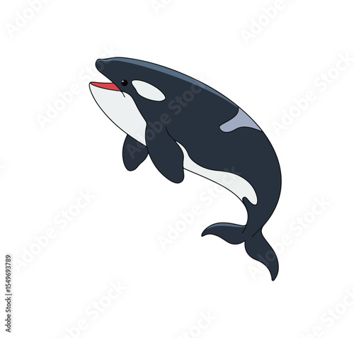 dolphin 