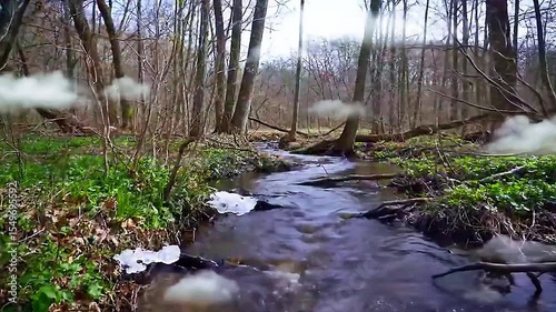 A realistic 4K cinematic early spring creek, newly thawed water flowing past budding trees and wild groundcover, bathed in soft morning light, thin wispy clouds drift above the awakening forest, stati