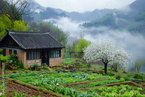 Blooming tree near traditional chinese house in spring with foggy mountains in the background
