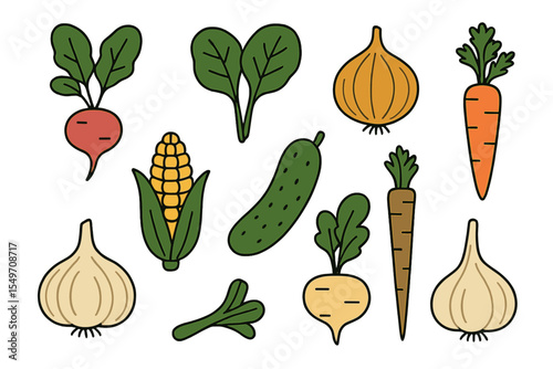 Colorful collection of various vegetables illustrating healthy eating and gardening