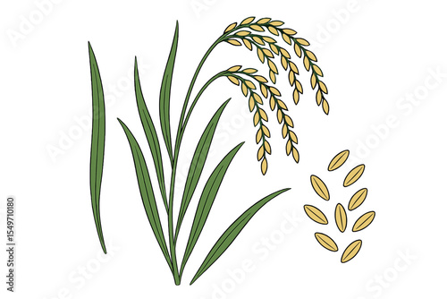 Illustration of rice plant with grains and leaves showcasing agricultural life in rural settings