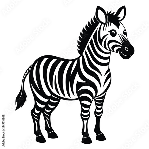zebra isolated on white background