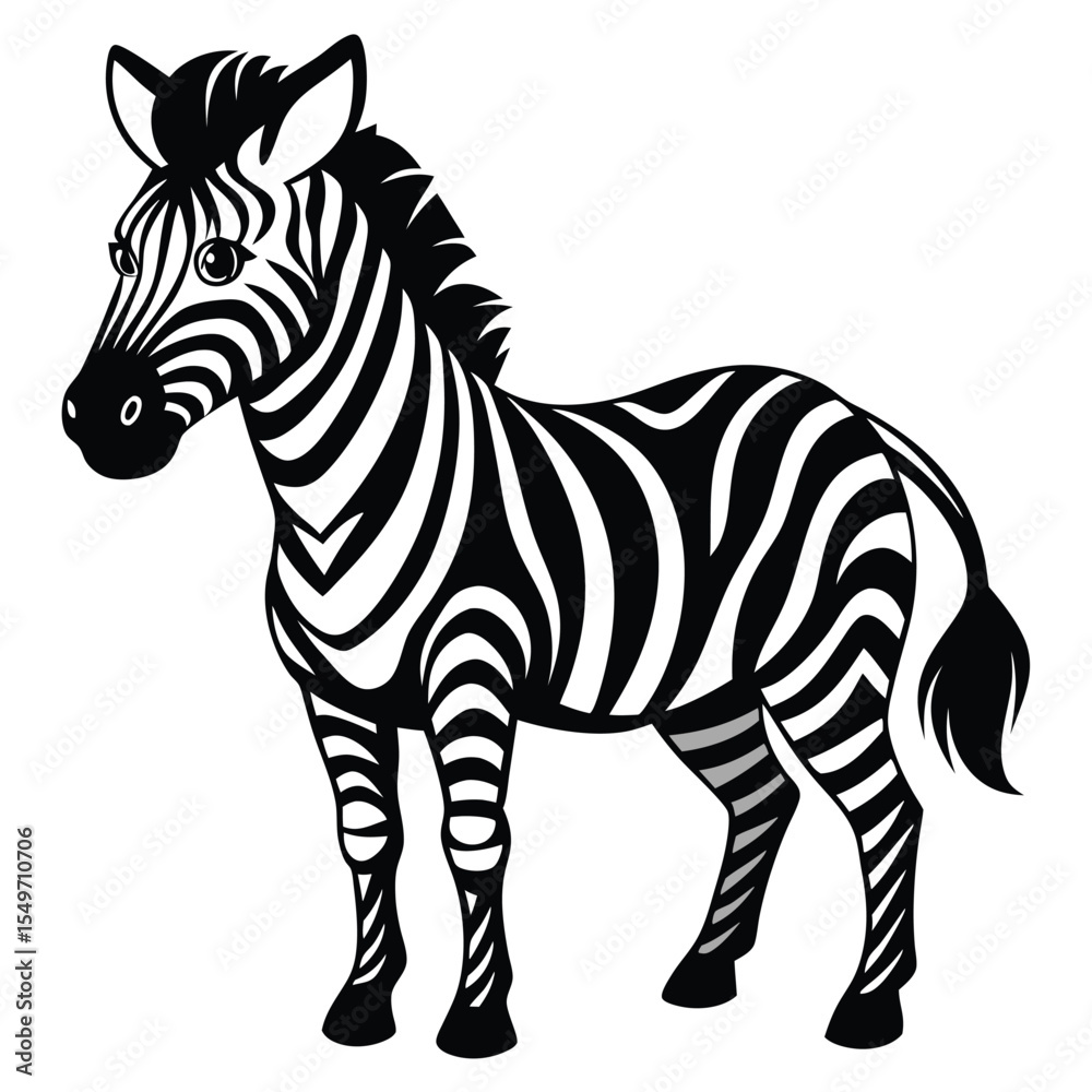 Obraz premium zebra isolated on white background
