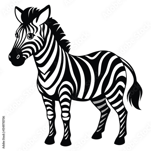 zebra isolated on white background