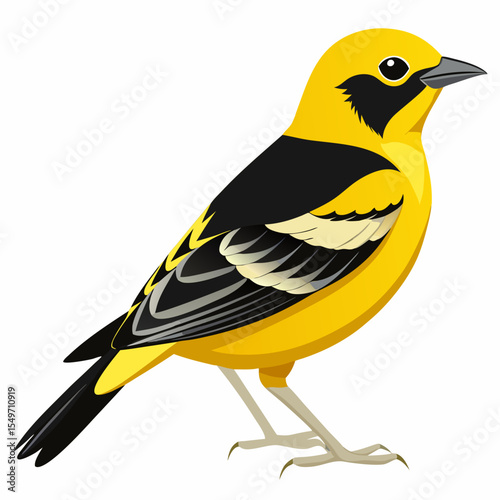 Vector Illustration of Lesser Goldfinch – Bright Songbird with Vibrant Plumage