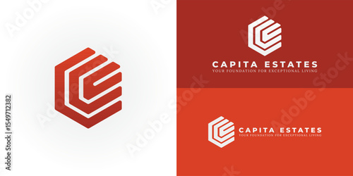 Modern CE emblem for construction and real estate. Its bold, geometric form within a hexagon symbolizes structural integrity, innovative development, and interconnected growth.
