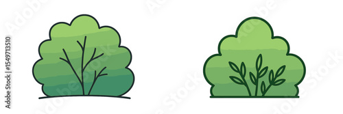 Various bushes showcasing different foliage styles in a natural landscape background during daytime