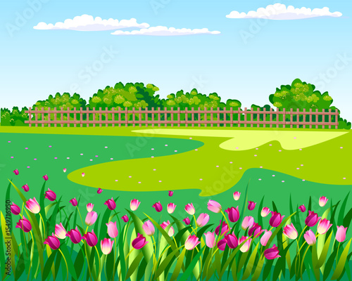 landscape with green lawn fence sky